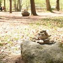 보은세탁소 이미지