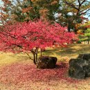 세종행정사사무소 이미지