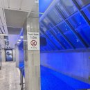 OSLO(오슬로) | 12월 노르웨이 오슬로 호텔 추천 래디슨 블루 Radisson Blu Plaza Hotel, Oslo 내돈내산 후기