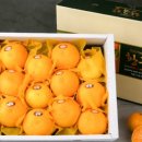 따봉농장 이미지