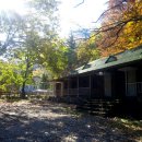 월매리(경북대부속학술림) 이미지