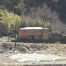 지통골돼지머리국밥