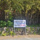 푸름조경 - 기장군 일역길 75-38 | 부산 기장 아홉산숲 대나무숲길 산책