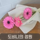 노은온누리약국 | 대전꽃집 노은역 근처 24시간 무인꽃집, 도비니의 정원