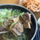 신사면옥 | 압구정 강남면옥 본점 회냉면, 갈비탕 내돈내산