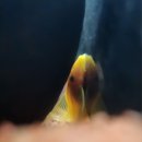 안시농장 이미지