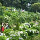 신비바이크 이미지