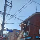 서초중앙로26길 10 이미지