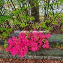 백로공원 화장실 이미지