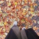 씨유 석촌퍼스트점 | 2021, 11월 일상 #2