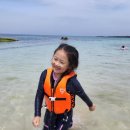 (주)바다출동 이미지