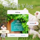 십일월오일 이미지