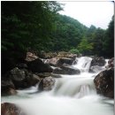 지리산거림계곡 이미지