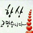 카르페디엠 이미지