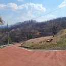 정심사입구 네이버블로그