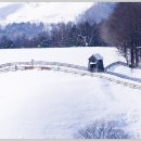 연일목장 이미지