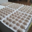 산골농부네 | 기러기 부화부터 사육과 관리 방법/ 기러기 효능과 부작용/기러기 요리