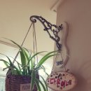 다은네일 이미지