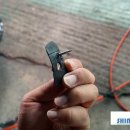 애니카랜드복정점 이미지