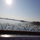 만경초등학교 이미지