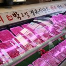 박고집 이미지