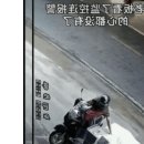 초짜 도독놈 이미지