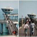 울진생선구이 | 울진여행 반나절코스｜국립울진해양과학관·죽변항 안동생선구이·울진대게빵