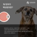 고강동물병원 이미지