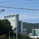 맘스터치 경일대점 이미지