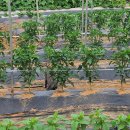 길음1리마을회관 이미지