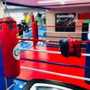 에너자이저 복싱 이미지