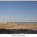 수성반점 이미지