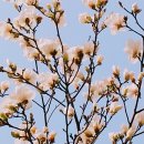 건국대학교 디자인대학원 이미지