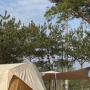 삼화리 | 경기 연천ㅣ삼화리동광캠핑장 파쇄석 15 사이트