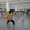 참태권도체육관 이미지