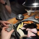 도적 | 합정역 고기집 도적 고추장삼겹살, 항정살 (진짜 솔직 후기)