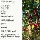 구지로L 이미지