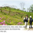 미즈피아플라자