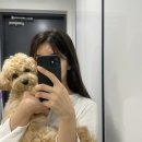 몽샤르망 애견유치원 | Last Post in Summer