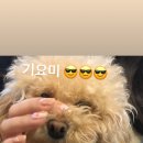 몽몽(MongMong) 이미지