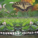 은지농장 이미지