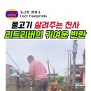 살생하지 말개 이미지
