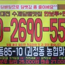 롤로코리아 이미지