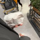 이마트 펜타포트점 | 두근두근일상 :) 천안족발맛집 천안찜질방 천안숯가마 아바타후기 천안가구점