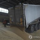 금남여객운수㈜ | 제주벤처가 전하는 세상의 지식 (제-세-지, 7월 18일)