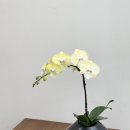 영전농장 이미지