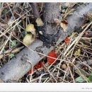 금강4농장 이미지