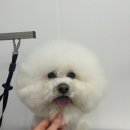 도루몽실 이미지