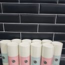 벨라 펫샵 이미지