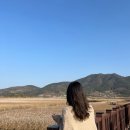 서촌마을회관 | 여수여행1 (전주한옥마을/순천만습지/고소동벽화마을/여수바다닭강정/경도회관)
